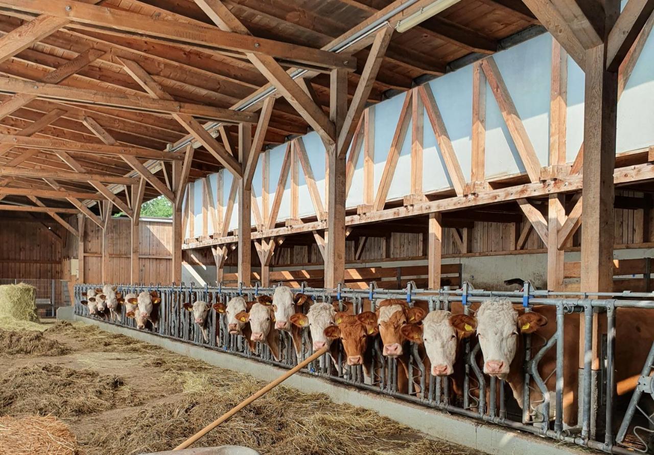 Ferienhof Leopold In Der Grub Ort im Innkreis Exterior foto